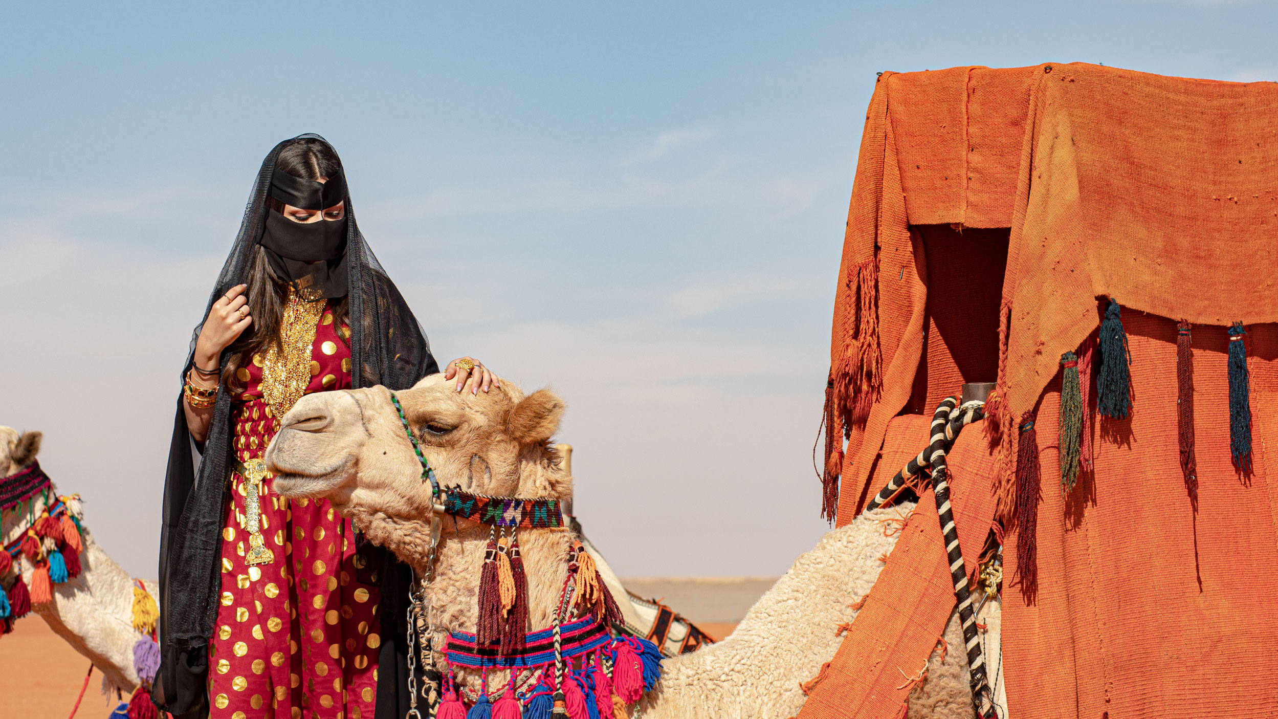 مهرجان الملك عبدالعزيز للإبل الشوط النسائي
